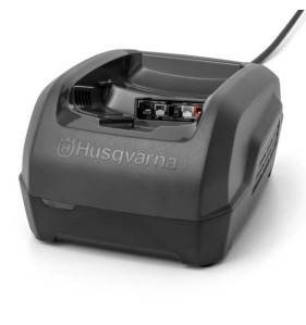 Pack Débroussailleuse Husqvarna 520 IRX avec Batterie & Chargeur